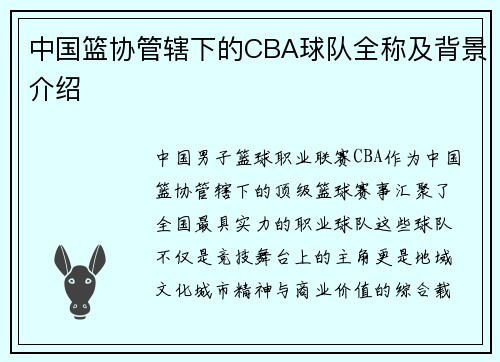 中国篮协管辖下的CBA球队全称及背景介绍